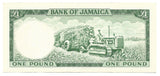 Jamaica Banknote Quenn Elizabeth 1 Pound 1960 1964 P51Cc aXF Rare Grade British